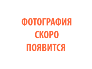 Фото 65 - Плазменный резак  TECH CS 101.
